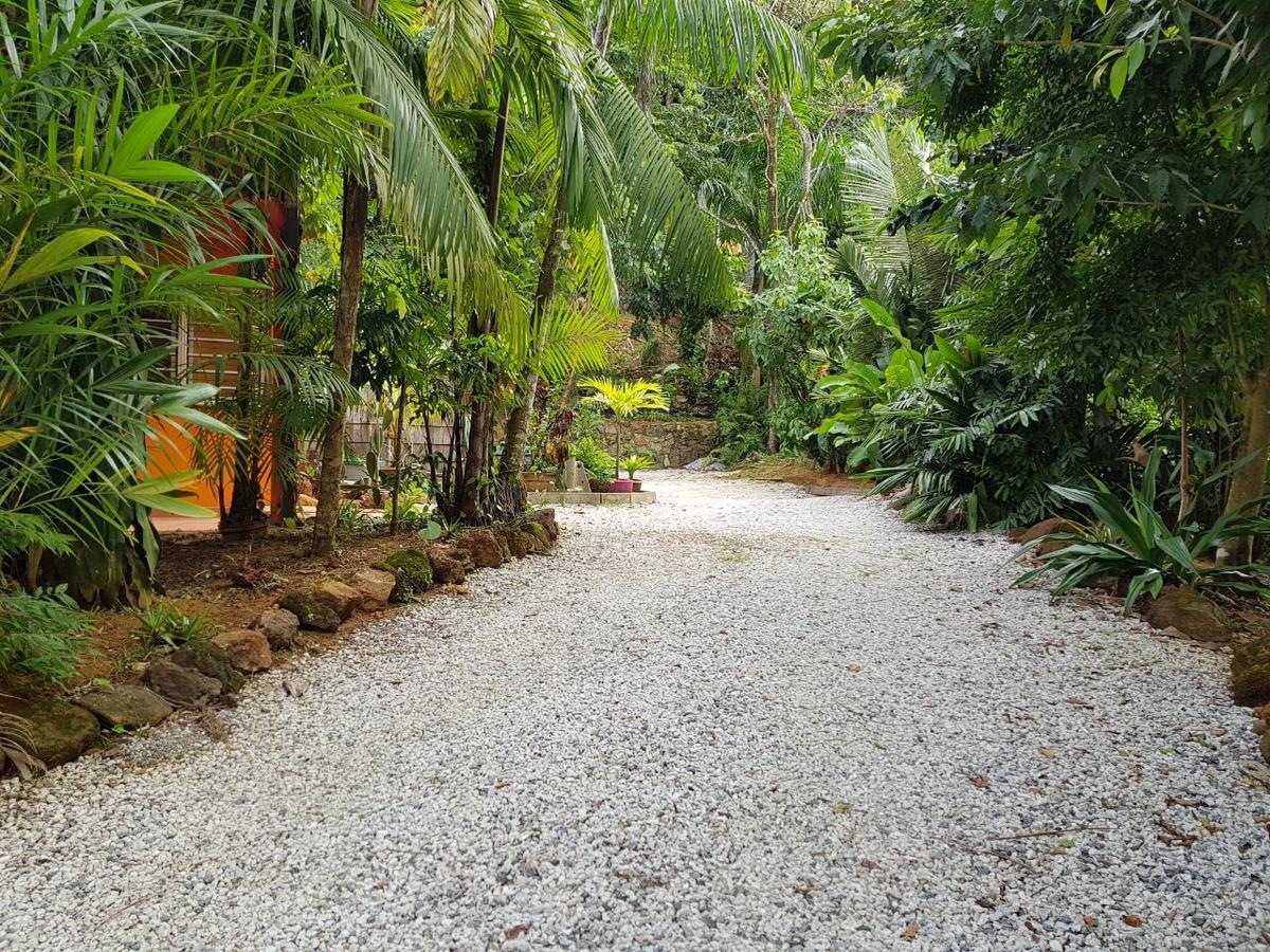 Ti Kaz Dan Bwa Appartement Cayenne Buitenkant foto